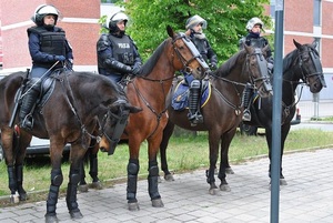 Funkcjonariusze pododdziału konnego Komendy Powiatowej Policji w Tomaszowie Mazowieckim i sekcji konnej Straży Miejskiej w Łodzi.