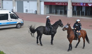 Konie policyjne przed stadionem Widzewa Łódź podczas trwania zabezpieczenia.