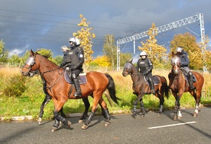 Policjanci na koniach biorący udział w zabezpieczeniu