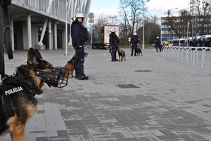 Na pierwszym planie psy  policyjne oraz przewodnicy podczas zabezpieczenia spotkania piłkarskiego, patroluąa teren wokół stadionu.