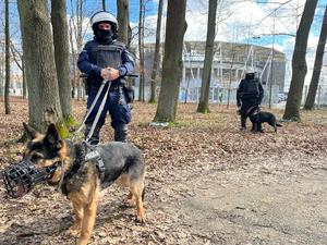 Przewodnicy w raz z psami służbowymi patrolują teren wokół stadionu.