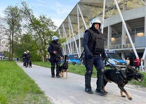 Przewodnicy z psami służbowymi idą jeden za drugim chodnikiem wzdłuż stadionu.