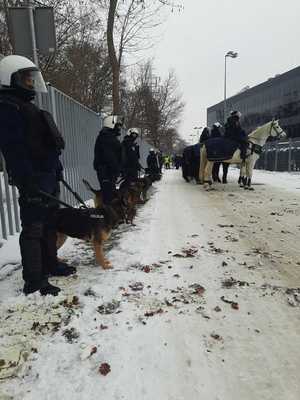 Przewodnicy psów policyjnych oraz patrole konne policji oraz Straży Miejskiej w Łodzi.