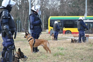 Policyjni przewodnicy psów wraz z czworonożnymi funkcjonariuszami przed meczem.