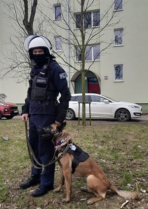 Policyjny przewodnik psa wraz ze swoim podopiecznym.