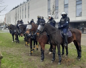 Patrole konne Policji i Straży Miejskiej w Łodzi.