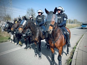 Sekcja konna policji wraz z funkcjonariuszami Straży Miejskiej w łodzi przed stadionem Widzewa Łódź.