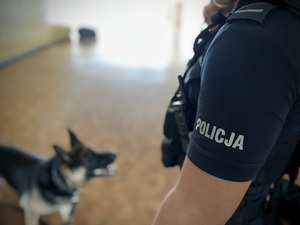 Pies policyjny Skuter patrzy na swojego przewodnika.