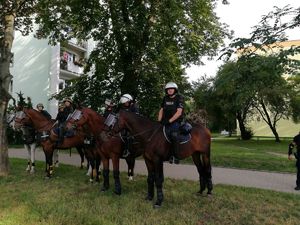 Patrole konne policji oraz Straży Miejskiej w Łodzi w trakcie zabezpieczenia.