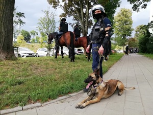 Policyjny przewodnik z psem służbowym, w tle patrole konne policji i Straży Miejskiej w Łodzi.