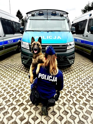 Umundurowana policjantka z psem służbowym na tle radiowozów.