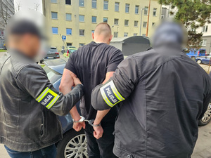 Policjanci pomagają meżczyźnie w kajdankach wsiąść do radiowozu.