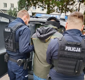 Umundurowani policjanci pomagają zatrzymanemu mężczyźnie wsiąść do radiowozu.