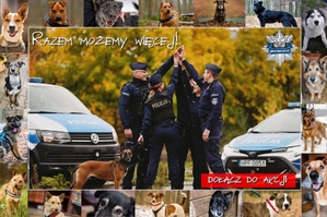 Grupa policjantów z psem służbowym na tle radiowozów. Na górze fotografii napis razem możemy więcej. Na zdjęciu jest dodany kolaż zdjęć psów z schroniska w Skierniewicach.
