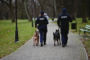 Przewodnicy psów wraz z psami na szkoleniu w parku.