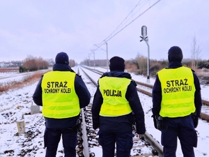 Policjanci i funkcjonariusze sok podczas wspólnej służby.