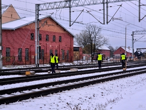 Policjanci i funkcjonariusze sok podczas wspólnej służby.