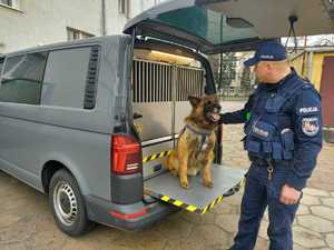 Policjant trzymający psa służbowego. Zwierzę znajduje się w specjalnym radiowozie do przewozu psów.