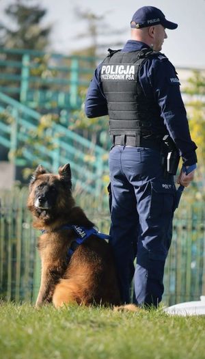 Policjant stoi odwrócony tyłem obok niego znajduje się pies.