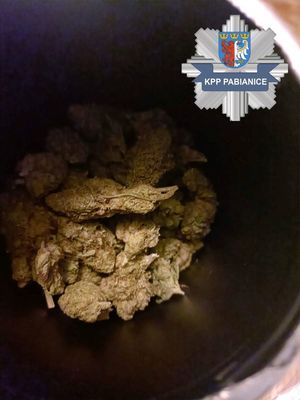 W prawym górnym rogu znajduje się logo Komendy Powiatowej Policji w Pabianicach. Susz roślinny w pojemniku.