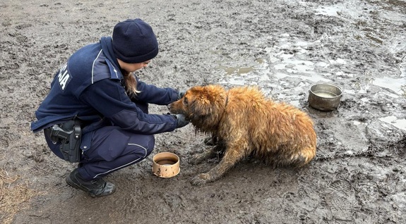 Policjantka dotyka psa.
