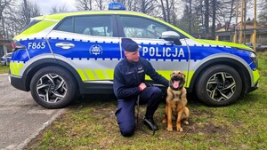 Umundurowany przewodnik z psem na tle oznakowanego radiowozu.