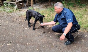 Policjant z psem.