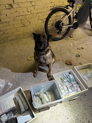 pies policyjny z odnalezionymi środkami odurzającymi