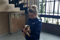 Policjantka trzyma na rękach znalezionego małego pieska.