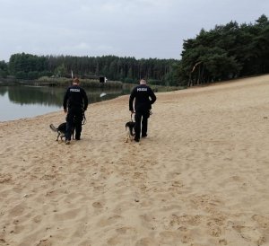Dwóch umundurowanych policjantów idzie z pasami na smyczy przy nodze, idą odwróceni tyłem po piaszczystym terenie.