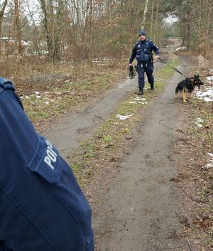 policjant z psem pracujący na miejscu zdarzenia