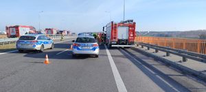 Dwa policyjne radiowozy stoją na pasie drogowych, obok z lewej i prawej strony stoją wozy strażackie.