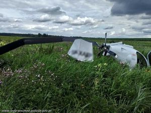 Ultralekki samolot leży w trawie.