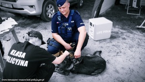umundurowany przewodnik wraz z psem służbowym przed nimi uczennica klasy policyjnej  w koszulce z napisem na plecach - klasa policyjna