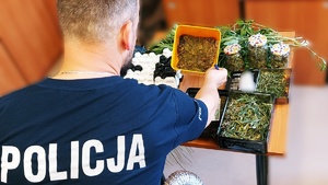 umundurowany policjant robi spis zatrzymanych narkotyków ustawionych w pojemnikach i słoikach na stole