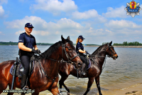 Policyjny patrol konny ( 3 konie) patroluje patroluje linię brzegową Zalewu Sulejowskiego