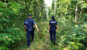 Umundurowani policjanci idący przez las.