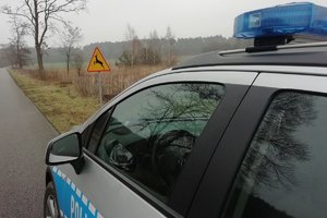 Radiowóz i znak drogowy ostrzegający o zwierzynie leśnej.