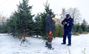 Policjant i mężczyzna obok choinki.