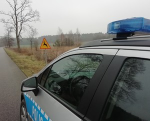 Radiowóz policyjny i znak  ostrzegawczy o zwierzętach na drogach.