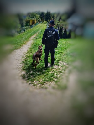 Policjant w mundurze z psem służbowym.
