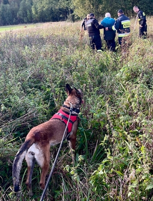 Szczęśliwy finał poszukiwań.
