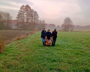 Akcja poszukiwawcza.