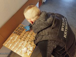 Policjant ubrany w kamizelkę służbową robi oględziny torebek foliowych z narkotykami.
