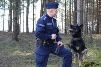 Na zdjęciu stoi mundurowany policjant, obok niego siedzi pies. Zdjęcie na tle lasu, pies koloru czarnego, podpalany, owczarek niemiecki.
