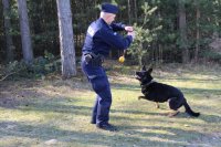 Z lewej strony stoi policjant, który w ręku trzyma zabawkę - żółtą piłkę, z prawej strony pies szykuje się do skoku.
