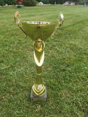 Puchar za zwycięstwo w Turnieju Plażowej Piłki Siatkowej na zielonym tle - puchar stoi na trawie