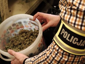 Policjant trzyma wiaderko z suszem roślinnym.