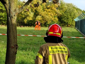 Wspólne ćwiczenia służb.