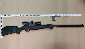 Wiatrówka i pudełko ze śrutem.